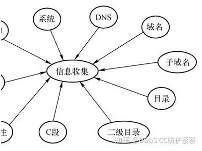 网络黑客联系方式揭秘途径探析「网络黑客去哪里找」