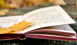 私人信息调查：合法合规获取关键信息，规避法律风险与隐私侵犯