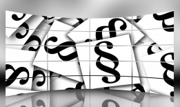 网赌律师在线询问：紧急时刻的专业法律指导，避免更大损失