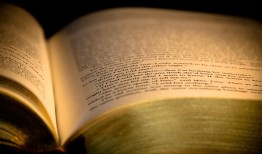 成为一个黑客需要多久？揭秘零基础到高手的真实时间线，让你少走弯路快速入门