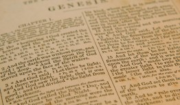 百度怎么注册自己的店铺？2024最新完整指南，手把手教你快速开店避坑