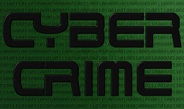 程序员自学指南：从零到精通的实用路径与高效方法