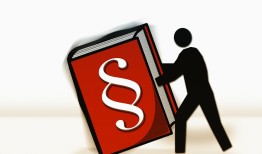 网赌律师在线询问：紧急时刻的专业法律指导，避免更大损失