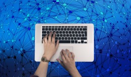 网络技术有限公司电话号码查询指南：快速找到官方联系方式，避免沟通失误与信息泄露风险