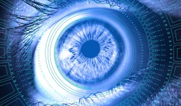 24小时黑客扣扣在线接单：解决网站突发故障的快速方案与风险警示