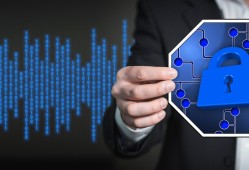 黑客免费24小时在线接单网站：揭秘背后的陷阱与安全防范指南