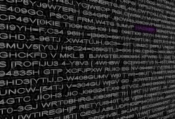 24小时黑客在线接单：全天候网络安全守护，快速解决紧急威胁