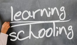 程序员厉害还是黑客厉害？揭秘两者技术差异与职业选择