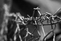 一个黑客的真实收入揭秘：合法、灰色与非法收入全解析，助你了解网络安全行业赚钱真相