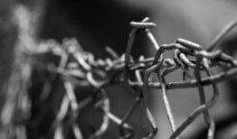 黑客在线接单好技术经验：从平台选择到安全实战的完整指南