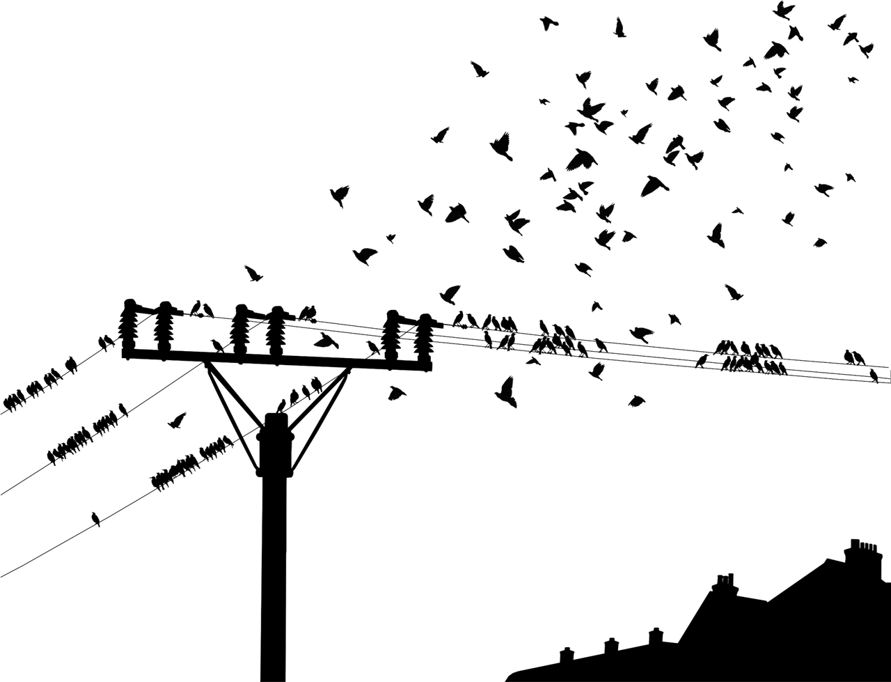 黑客24小时接单平台:揭秘网络黑产的隐蔽运作与安全防护指南 黑客24小时接单平台:揭秘网络黑产的隐蔽运作与安全防护指南